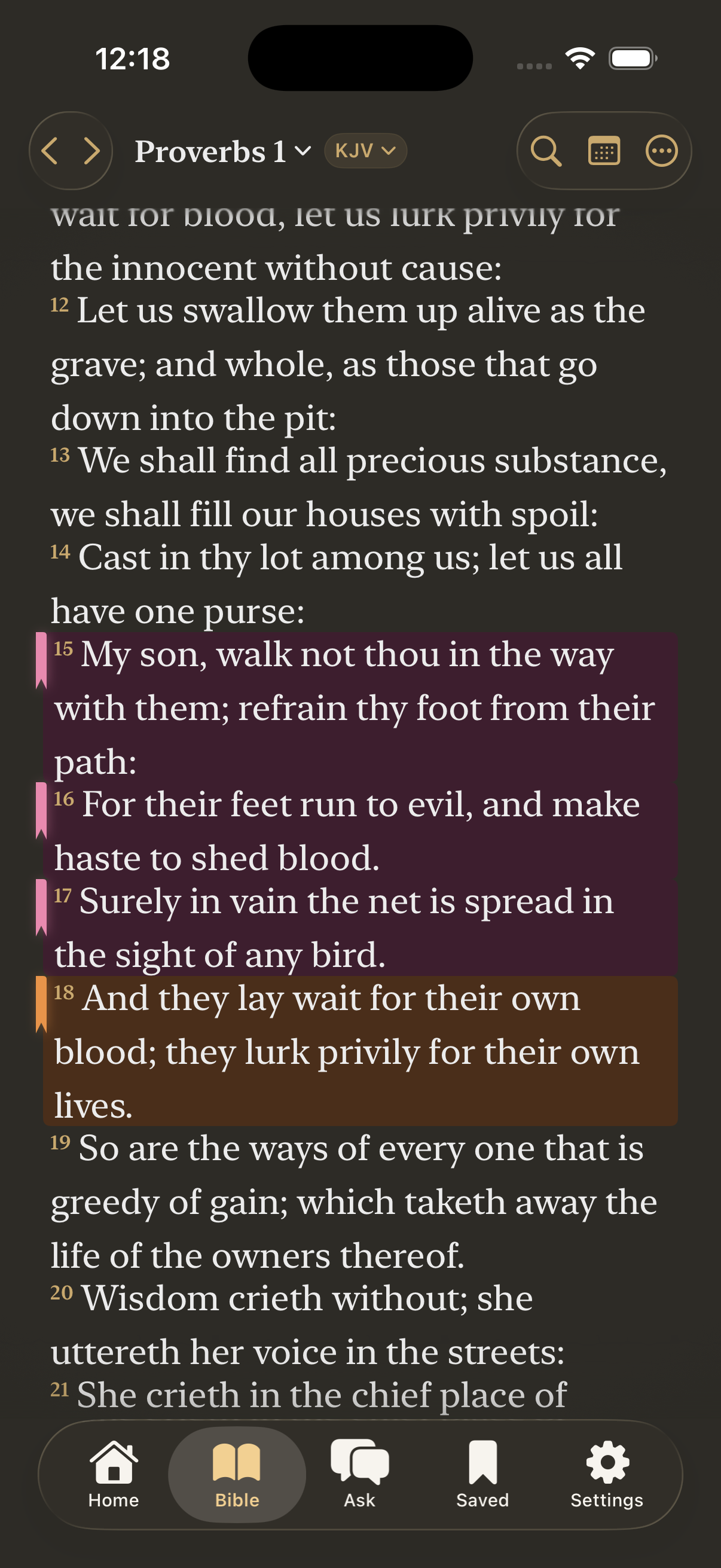 Bible Plus Bible Reader